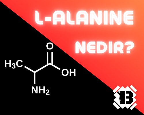 L- Alanine Nedir ?