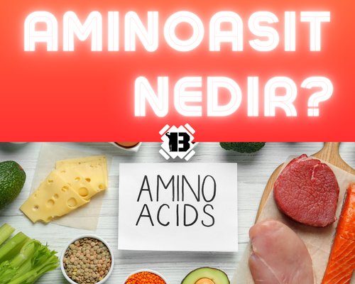 Aminoasit Nedir ?