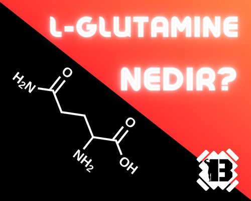 L-Glutamine Nedir ?