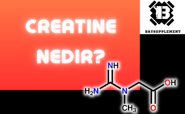 Creatine Nedir?