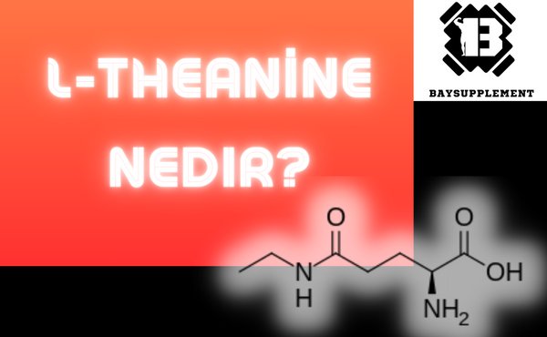 L-Teanin Nedir ?