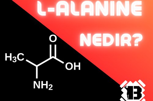 L- Alanine Nedir ?