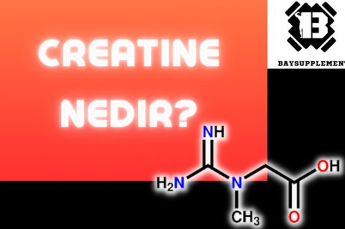 Creatine Nedir?