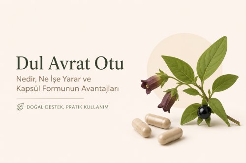 Dul Avrat Otu ( burdock root) Nedir?
