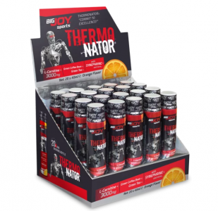 Bigjoy Thermonator L-Carnitine 40ml X 20 Ad. - Portakal